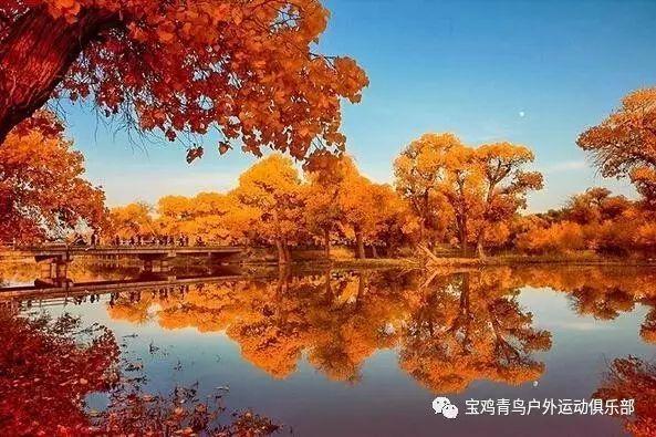 九运期间，这些问题值得注意！